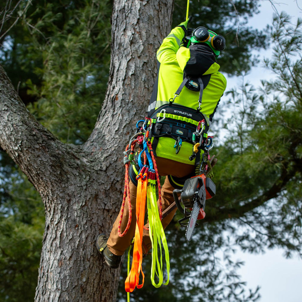 Tree Climbing Accessories Kit – Be in a Tree