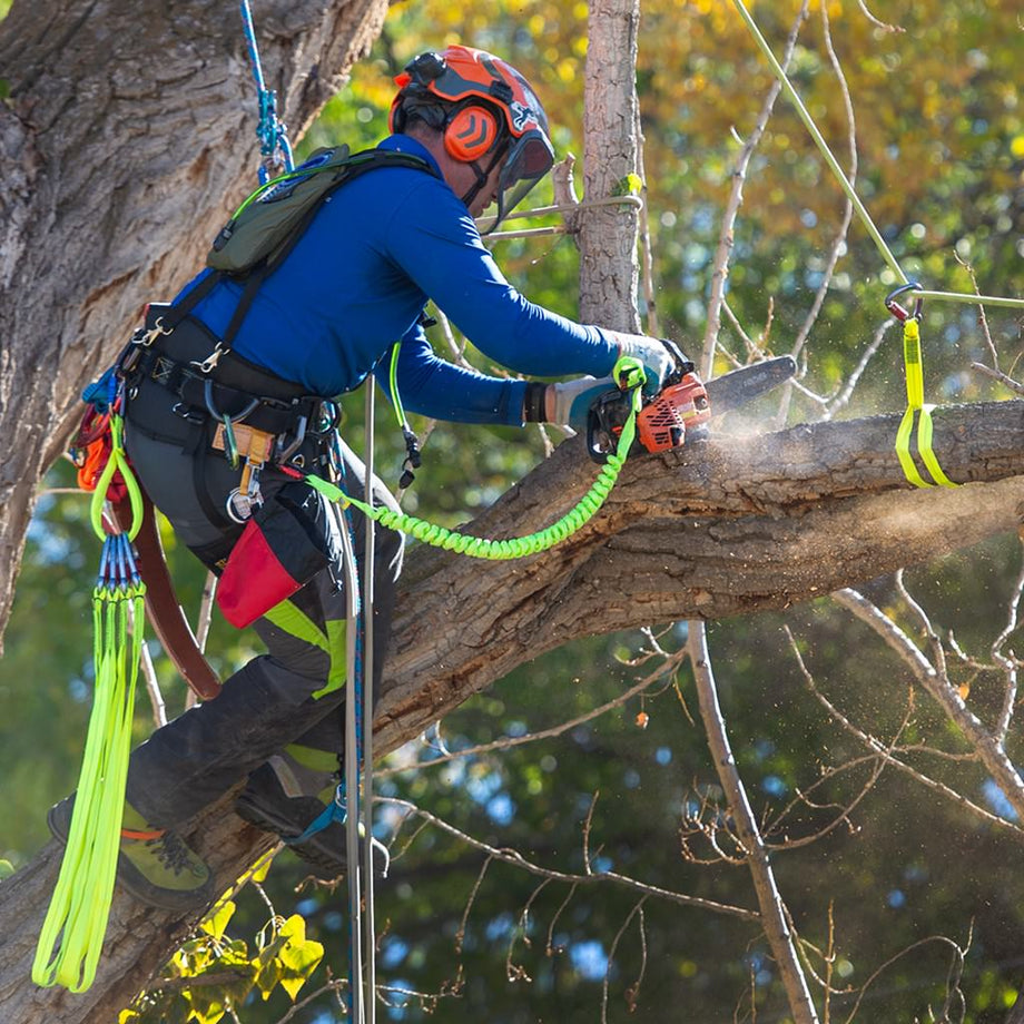 Weaver Arborist - The Ultimate Climbing Experience